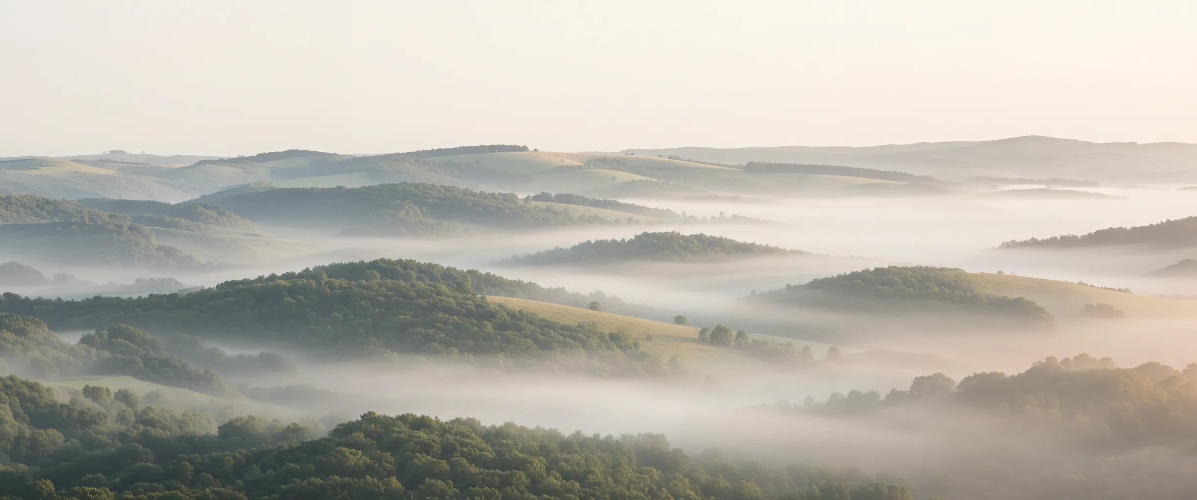 Psichoterapija Vilniuje - vidinė ramybė ir emocinė pusiausvyra