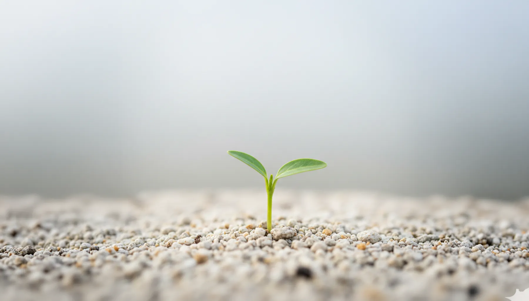 Psichologinė pagalba Vilniuje - asmeninis augimas ir pokyčių pradžia